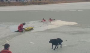 Ushuaia: Emotivo rescate de dos perros que cayeron al agua