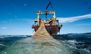 En Tierra del Fuego la actividad pesquera cayó un 11% respecto a mayo de 2015