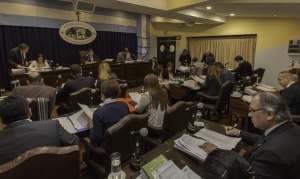 La Legislatura sancionó la emergencia energética para Ushuaia