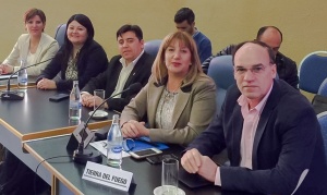 Legisladores patagónicos pidieron por el gas y el impuesto a las ganancias