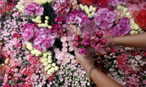 Guerra de flores: Quejas por la venta ambulante durante el día de la primavera