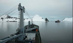 Campaña Antártica de Verano: tres etapas, diversos desafíos