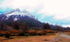 Excursión a los colores otoñales del bosque fueguino