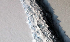 La Antártida, el continente blanco que un día fue verde