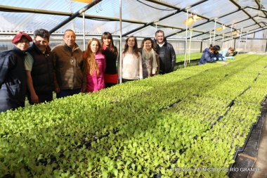 "Huertas urbanas": Productores hortícolas recibieron más de 22 mil plantines de lechuga