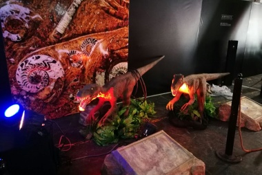 Se viene la primera muestra provincial de Ciencia y Tecnología en Tierra del Fuego