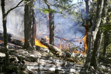 Cuatro hectáreas de bosque nativo afectados por el primer incendio forestal de la temporada