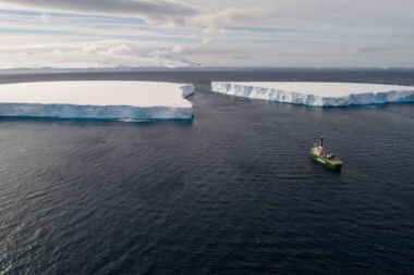 Fotos de la impactante expedición a la Antártida en busca de un santuario marino