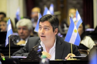 Pérez: “Peña vino al Congreso a hacer malabares discursivos”