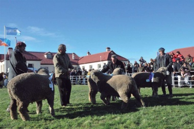 Se suspendió la Exposición Rural por falta de animales