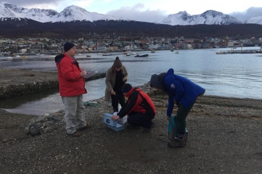 Finalizaron las tomas de muestras de agua en las bahías Ushuaia y Encerrada