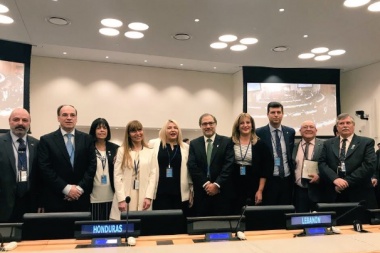 Bertone agradeció el apoyo de los países de la región ante el Comité de Descolonización de la ONU