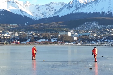 Toman muestras de plantas y organismos de Bahía Encerrada y Bahía Ushuaia