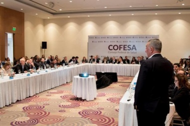 Tierra del Fuego estuvo presente en un nuevo encuentro del COFESA
