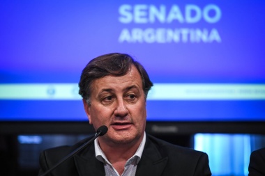 Fin del "fondo sojero": Para Catalán Magni "el gobierno no tiene a la patagonia en su agenda"
