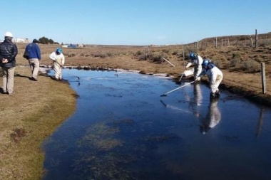 Greenpeace por derrame de petróleo: “No podemos permitir que la Patagonia se transforme en una zona de sacrificio”
