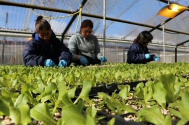 Más de 60 productores hortícolas de Río Grande participan del programa “Huertas Urbanas”