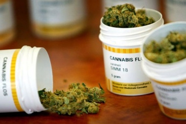 Gobierno promulgó la ley 1.277 de 'Uso medicinal del cannabis' en la provincia