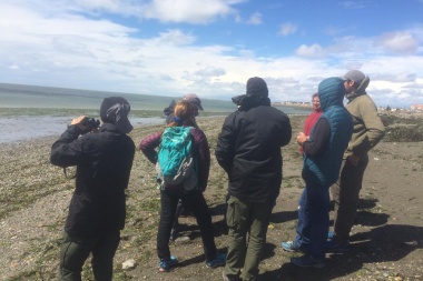En simultáneo con Perú y Chile, Tierra del Fuego realizó un censo de aves playeras