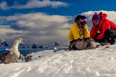 Día de la Antártida Argentina: conservar la vida en el rincón  más austral del mundo