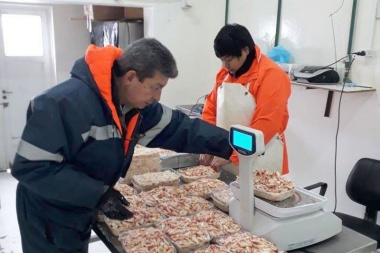 La planta municipal de productos de mar procesa centollón