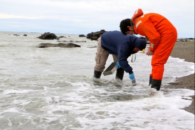 Destacaron avances del sumario por presunta contaminación de la costa de Río Grande