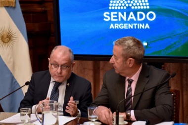 El canciller Faurie desmintió que Argentina esté entregando recursos naturales de Malvinas