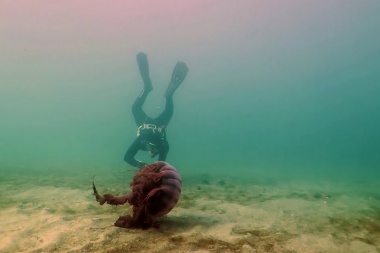 La serie 'Misterios Submarinos' que produce la UNTDF ganó el Premio FUND TV