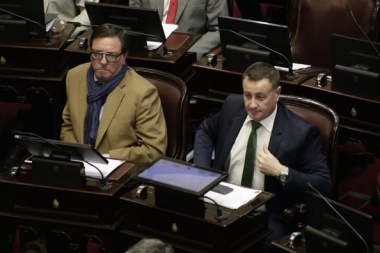 Catalalán Magni ocupó el asiento de Pichetto en el Senado