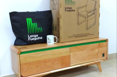 'Proyecto Lenga Fueguina': construyen los primeros prototipos de muebles empaquetables