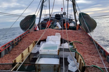 Provincias patagónicas se oponen a la extensión del límite para la pesca del langostino