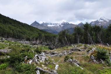Con Tierra del Fuego incluida, avanza el relevamiento del segundo inventario nacional de bosques nativo