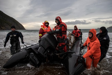 La aventura de los marinos que navegan los mares del sur para controlar el Faro del fin del Mundo