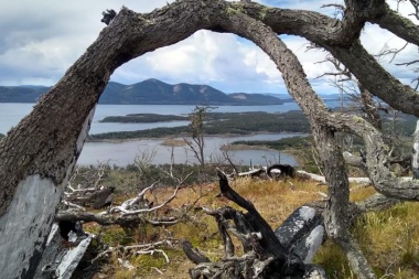 Tierra del Fuego recibió 2 millones de pesos para la protección de bosques nativos