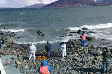 Buzos especializados verificaron nuevo dispersor marino de la planta 'Bahía Golondrina'