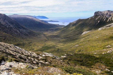 Aseguran que Península Mitre es el lugar de mayor captura de carbono en Argentina