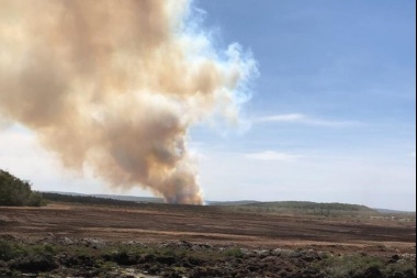 Incendio en aserradero de Tolhuin: "Todas las fuerzas están abocadas a sofocar el incendio"