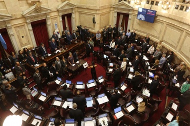 Con 41 votos a favor y 23 en contra, el Senado convirtió en ley la Emergencia Económica