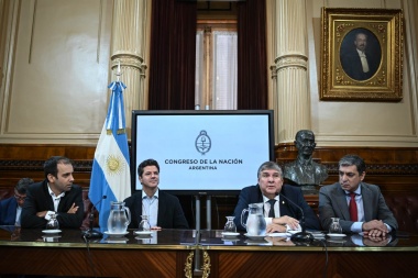 Matías Rodríguez formará parte de la comisión que investigará la deuda externa