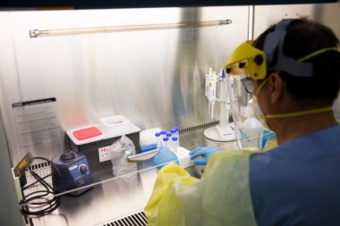 Por quino día consecutivo, Tierra del Fuego no sumó nuevos casos de coronavirus