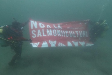 Se demora nueva reunión de comisión para prohibir la salmonicultura en Tierra del Fuego