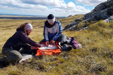 Especialistas del CONICET viajaron a Malvinas para estudiar el origen y la evolución de planta e insectos de la región