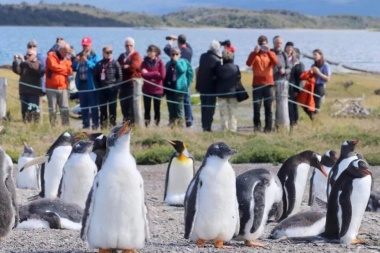 Casi 80 mil turistas visitaron Ushuaia durante el último invierno, según datos municipales
