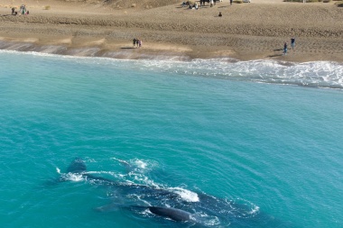 Una playa oculta de la patagonia argentina compite con las mejores de Sudamérica