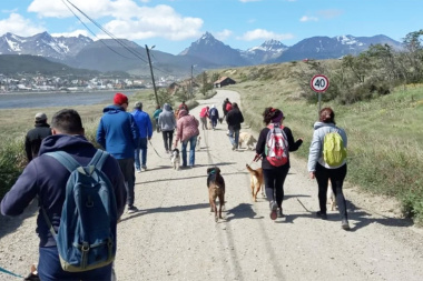 Este domingo realizarán ‘caninata’ en Ushuaia para homenajear a perros caídos en Malvinas