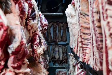 Unánime pedido para que Nación desista de ingresar carne con hueso a la Patagonia