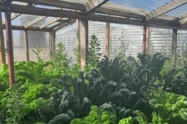 La Fundación Mirgor e INTA Río Grande impulsan la agroecología en el 'Mes del Medio Ambiente'