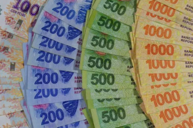 Presentan un proyecto que busca crear una nueva moneda nacional