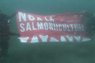El proyecto para permitir las salmoneras sería aprobado en la próxima sesión de la Legislatura