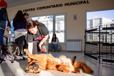 Exitosa jornada de adopción responsable en el barrio Perón de Río Grande